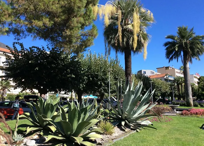 Bellaterra B By Fewotessin 로카르노